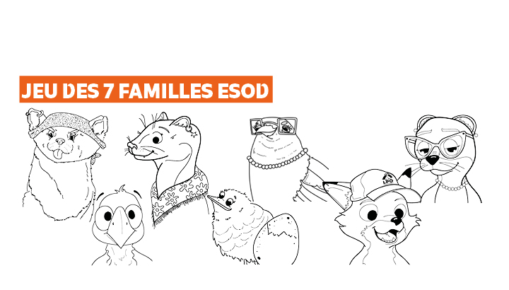 Le jeu des 7 familles ESOD au complet